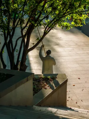 Sunlit Sculpture