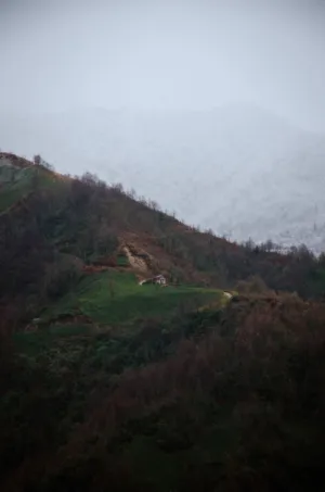 Mountain Landscape