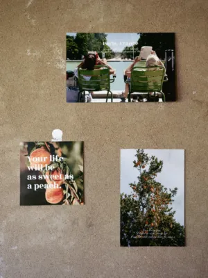 Postcard Collection