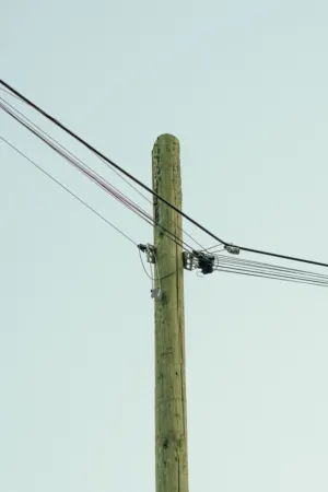 Telephone Pole And Wires