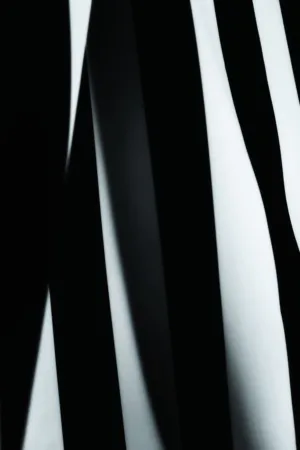 Black And White Stripes