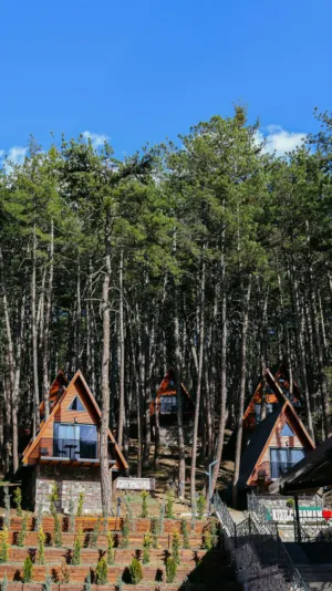 Wooden Cabins In The Woods
