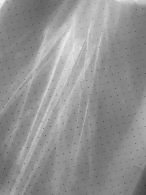 Abstract Dotted Surface