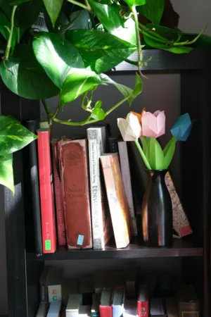 Bookshelf With Books And Origami Flowers
