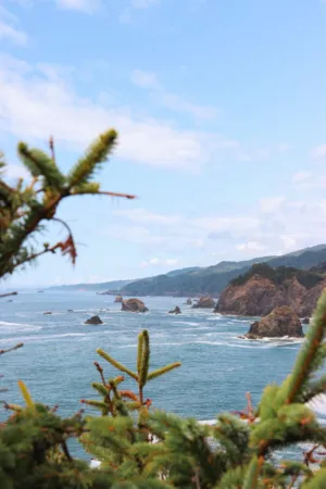 Coastal Landscape