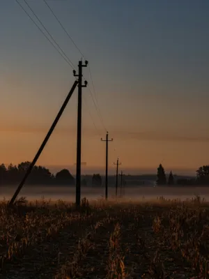Silhouette Of Power Lines At Dawn
