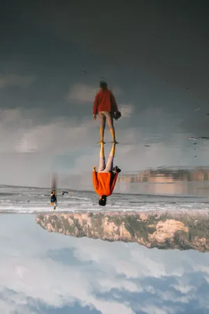 Inverted Reflection