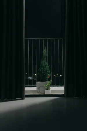 Minimalist Window View