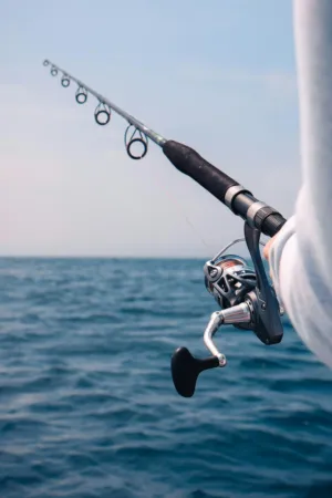 Fishing Rod In Ocean