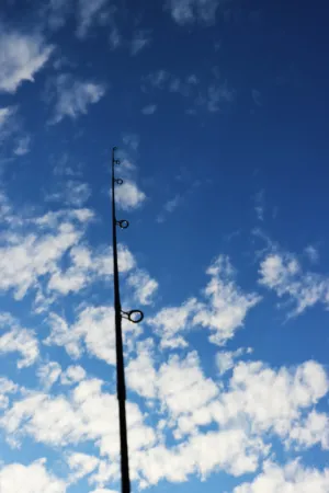 Fishing Pole Against The Sky
