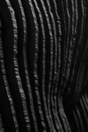 Black And White Stripes