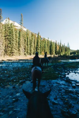 Horseback Riding Adventure