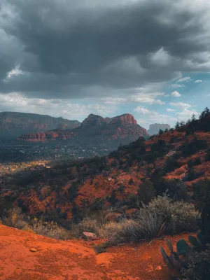 Desert Vista