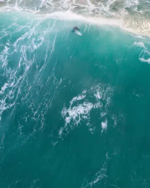 Surfer Riding A Wave