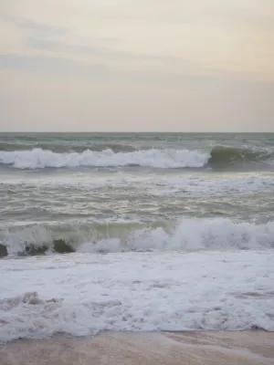 Beach Waves