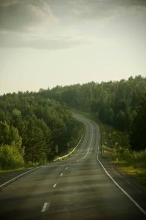 Forest Road