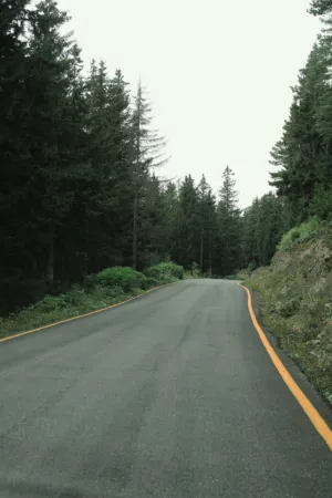 Forest Road