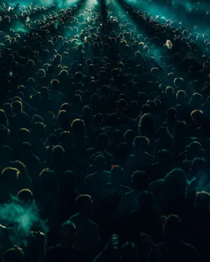 Crowd At A Concert