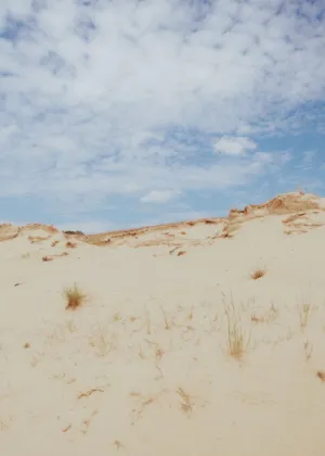 Desert Landscape