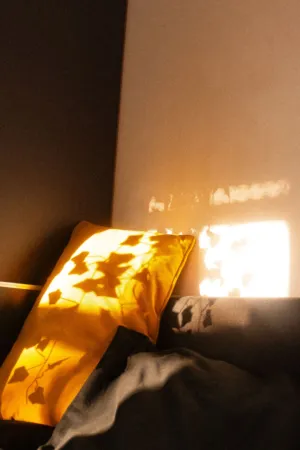 Sunlit Pillow
