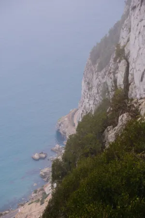 Rocky Coastline
