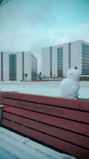Snowman On A Bench