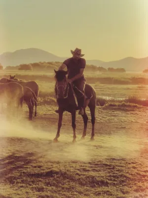 Cowboy Riding Horse At Sunset