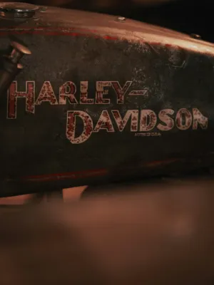 Harley-Davidson Motorcycle Tank