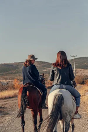 Horseback Riding In The Countryside