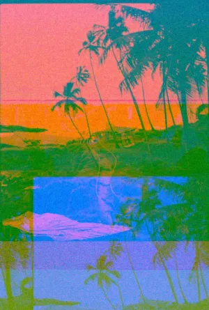 Palm Tree Silhouettes