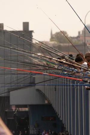Fishing On The Bridge