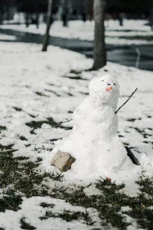 Snowman In Winter Landscape
