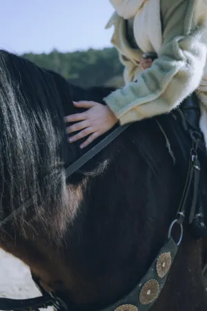 Horseback Riding
