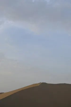 Desert Landscape