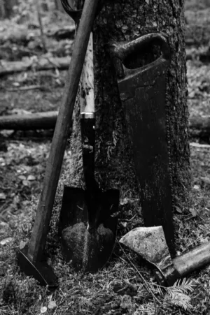 Forest Tools