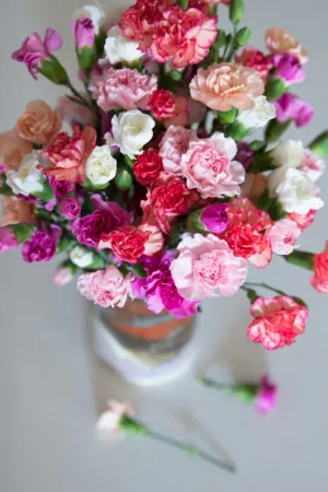 Colorful Carnations