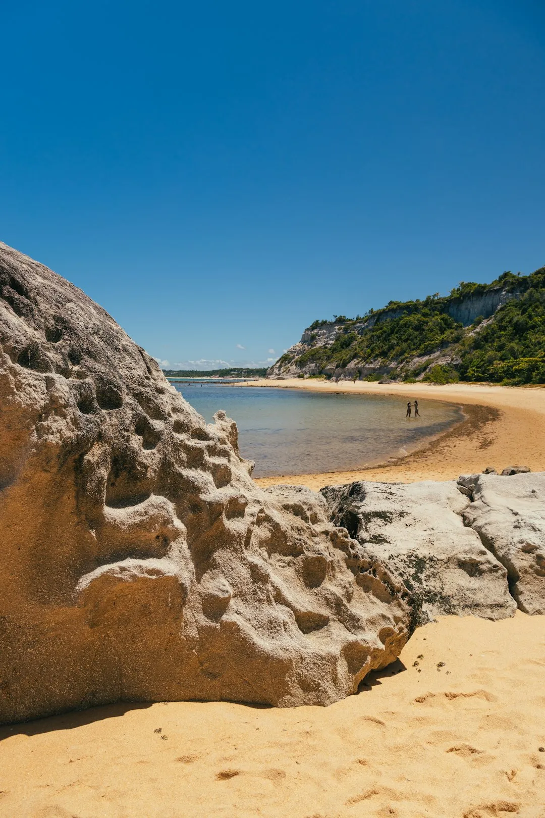 Beach Landscape