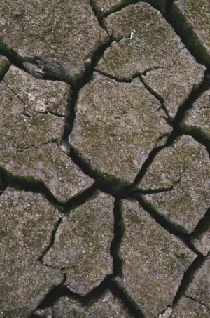 Cracked Earth