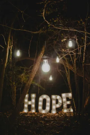 Hope In The Woods