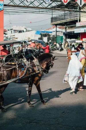 Market Scene With Horse And Cart