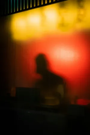Silhouette In Colorful Lights
