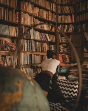 Bookshelf Hunt