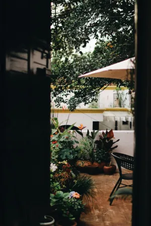 Cozy Garden View