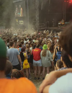 Festival Crowd