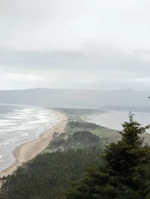 Beach View