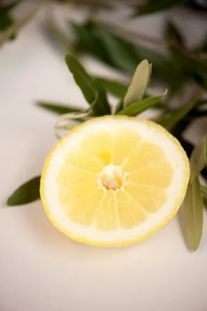 Lemon Slice