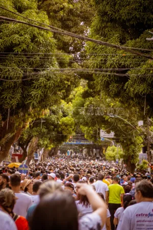 Crowd In A Street Festival