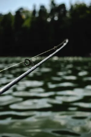 Fishing Rod In Nature