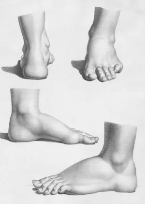 Foot Studies