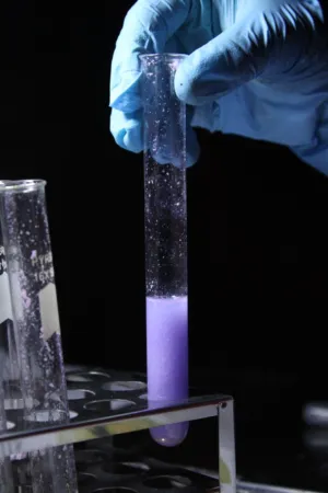 Scientific Experiment